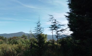 MI BOSQUE  LOTES GRANDES  CERCA DE PREPA IBERO,  SALAZAR, LA MARQUEZA, LOS ENCINOS,  STA. FE,  LOS ENCINOS, LERMA