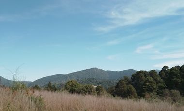 MI BOSQUE  LOTES GRANDES  CERCA DE PREPA IBERO,  SALAZAR, LA MARQUEZA, LOS ENCINOS,  STA. FE,  LOS ENCINOS, LERMA