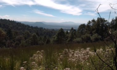 MI BOSQUE  LOTES GRANDES  CERCA DE PREPA IBERO,  SALAZAR, LA MARQUEZA, LOS ENCINOS,  STA. FE,  LOS ENCINOS, LERMA