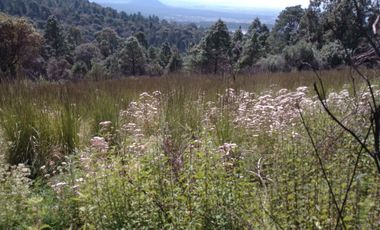 MI BOSQUE  LOTES GRANDES  CERCA DE PREPA IBERO,  SALAZAR, LA MARQUEZA, LOS ENCINOS,  STA. FE,  LOS ENCINOS, LERMA