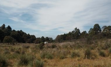 MI BOSQUE  LOTES GRANDES  CERCA DE PREPA IBERO,  SALAZAR, LA MARQUEZA, LOS ENCINOS,  STA. FE,  LOS ENCINOS, LERMA