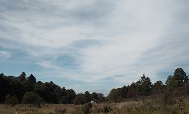 MI BOSQUE  LOTES GRANDES  CERCA DE PREPA IBERO,  SALAZAR, LA MARQUEZA, LOS ENCINOS,  STA. FE,  LOS ENCINOS, LERMA