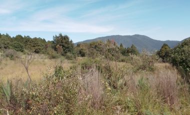 MI BOSQUE  LOTES GRANDES  CERCA DE PREPA IBERO,  SALAZAR, LA MARQUEZA, LOS ENCINOS,  STA. FE,  LOS ENCINOS, LERMA