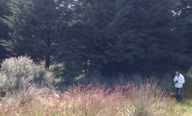 MI BOSQUE  LOTES GRANDES  CERCA DE PREPA IBERO,  SALAZAR, LA MARQUEZA, LOS ENCINOS,  STA. FE,  LOS ENCINOS, LERMA