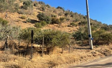 Parcela en venta en Curacaví