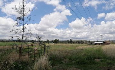 TERRENO EN RENTA EN CUQUIO YAHUALICA