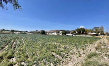 Terreno en Venta Carretera Federal Puebla - Atlixco  en Atlixco