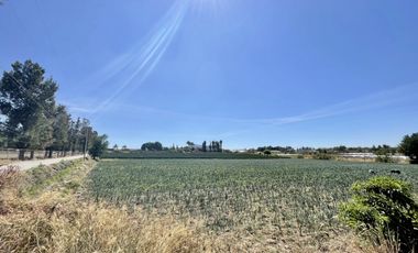 Terreno en Venta Carretera Federal Puebla - Atlixco  en Atlixco