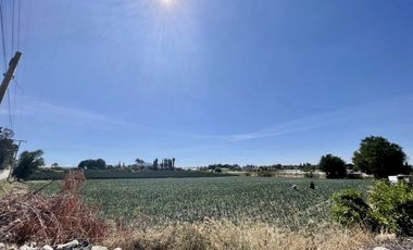 Terreno en Venta Carretera Federal Puebla - Atlixco  en Atlixco