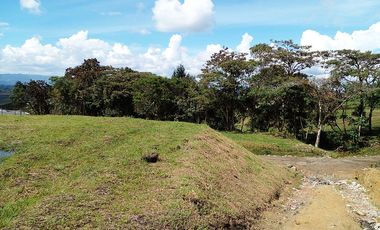 PR14553 Lote en venta en el sector Carmen de Viboral