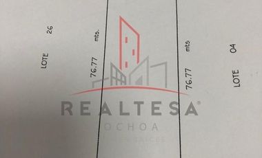 Terreno Renta Zona Industrial Robinson 20,000 Gergar RAO