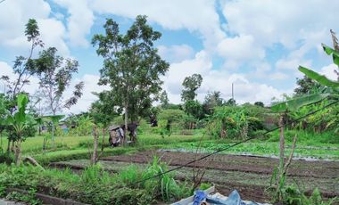 Selatan Jl. Pandanaran, Rumah Minimalis Harga Murah