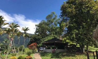 Finca en Venta en Amagá sector Camilo C