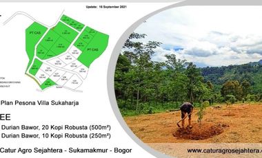 Tanah Kebun Sangat Produktif dijamin termurah Se-Bogor