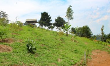 Tanah Kebun Sangat Produktif dijamin termurah Se-Bogor