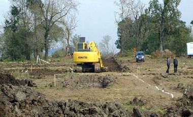 CAMPOS DE VICTORIA CANNING! ULTIMOS LOTES.