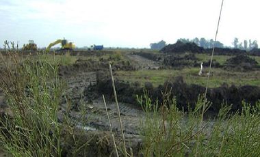 CAMPOS DE VICTORIA CANNING! ULTIMOS LOTES.