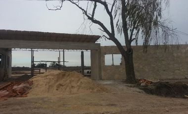 CAMPOS DE VICTORIA CANNING! ULTIMOS LOTES.