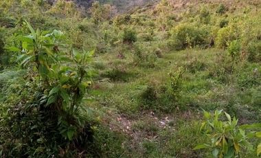 VENDO ESTE ENORME TERRENO DE 52 HECTÁREAS EN BARBOSA ANTIOQUIA.