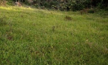 VENDO ESTE ENORME TERRENO DE 52 HECTÁREAS EN BARBOSA ANTIOQUIA.