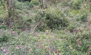 VENDO ESTE ENORME TERRENO DE 52 HECTÁREAS EN BARBOSA ANTIOQUIA.