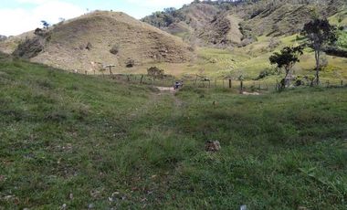 VENDO ESTE ENORME TERRENO DE 52 HECTÁREAS EN BARBOSA ANTIOQUIA.