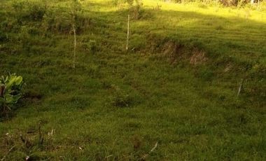 VENDO ESTE ENORME TERRENO DE 52 HECTÁREAS EN BARBOSA ANTIOQUIA.