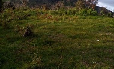 VENDO ESTE ENORME TERRENO DE 52 HECTÁREAS EN BARBOSA ANTIOQUIA.