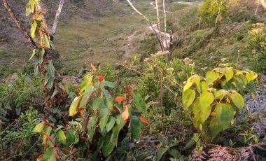 VENDO ESTE ENORME TERRENO DE 52 HECTÁREAS EN BARBOSA ANTIOQUIA.