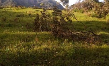 VENDO ESTE ENORME TERRENO DE 52 HECTÁREAS EN BARBOSA ANTIOQUIA.