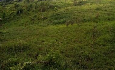 VENDO ESTE ENORME TERRENO DE 52 HECTÁREAS EN BARBOSA ANTIOQUIA.