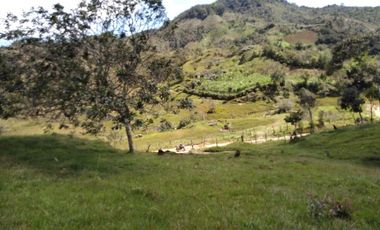 VENDO ESTE ENORME TERRENO DE 52 HECTÁREAS EN BARBOSA ANTIOQUIA.