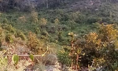 VENDO ESTE ENORME TERRENO DE 52 HECTÁREAS EN BARBOSA ANTIOQUIA.