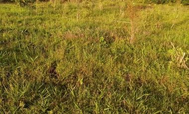VENDO ESTE ENORME TERRENO DE 52 HECTÁREAS EN BARBOSA ANTIOQUIA.