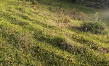 VENDO ESTE ENORME TERRENO DE 52 HECTÁREAS EN BARBOSA ANTIOQUIA.