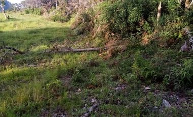 VENDO ESTE ENORME TERRENO DE 52 HECTÁREAS EN BARBOSA ANTIOQUIA.