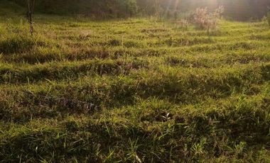 VENDO ESTE ENORME TERRENO DE 52 HECTÁREAS EN BARBOSA ANTIOQUIA.
