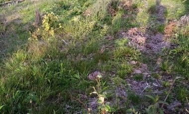 VENDO ESTE ENORME TERRENO DE 52 HECTÁREAS EN BARBOSA ANTIOQUIA.