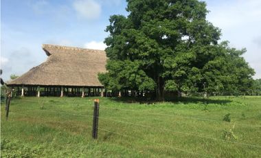 FINCA EN VENTA A LA ORILLA DE LA CARRETERA DE TOLU VIEJO