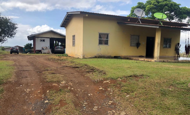 Se Vende Finca de 84 Hectáreas en Capira Iturralde