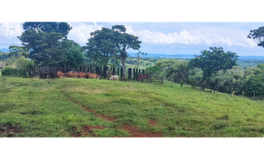 Se Vende Finca de 84 Hectáreas en Capira Iturralde