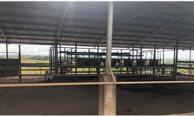 Se Vende Finca de 84 Hectáreas en Capira Iturralde