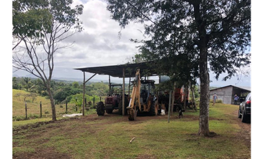 Se Vende Finca de 84 Hectáreas en Capira Iturralde
