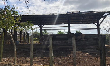 Se Vende Finca de 84 Hectáreas en Capira Iturralde