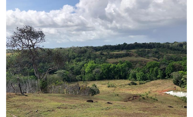 Se Vende Finca de 84 Hectáreas en Capira Iturralde