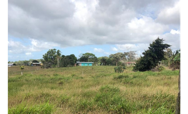Se Vende Finca de 84 Hectáreas en Capira Iturralde