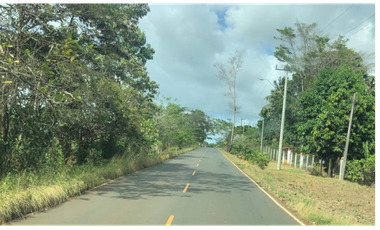 Se Vende Finca de 84 Hectáreas en Capira Iturralde