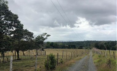 Se Vende Finca de 84 Hectáreas en Capira Iturralde