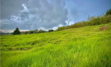 Venta Lote Plano Exotica Vista Parcelacion Alto Palmas