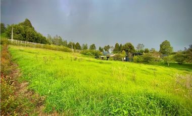 Venta Lote Plano Exotica Vista Parcelacion Alto Palmas